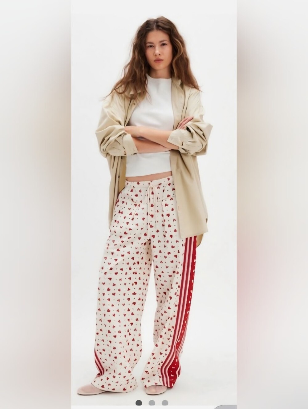 Free People Hudson Canyon Poplin Pants Sz L